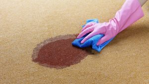 Blood on carpet for blood clean up in St. Petersburg, FL