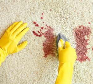 Suicide Cleanup in Clearwater, FL, Tampa, FL, St. Petersburg and Nearby Cities