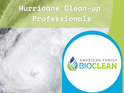 Hurricane clean up professionals